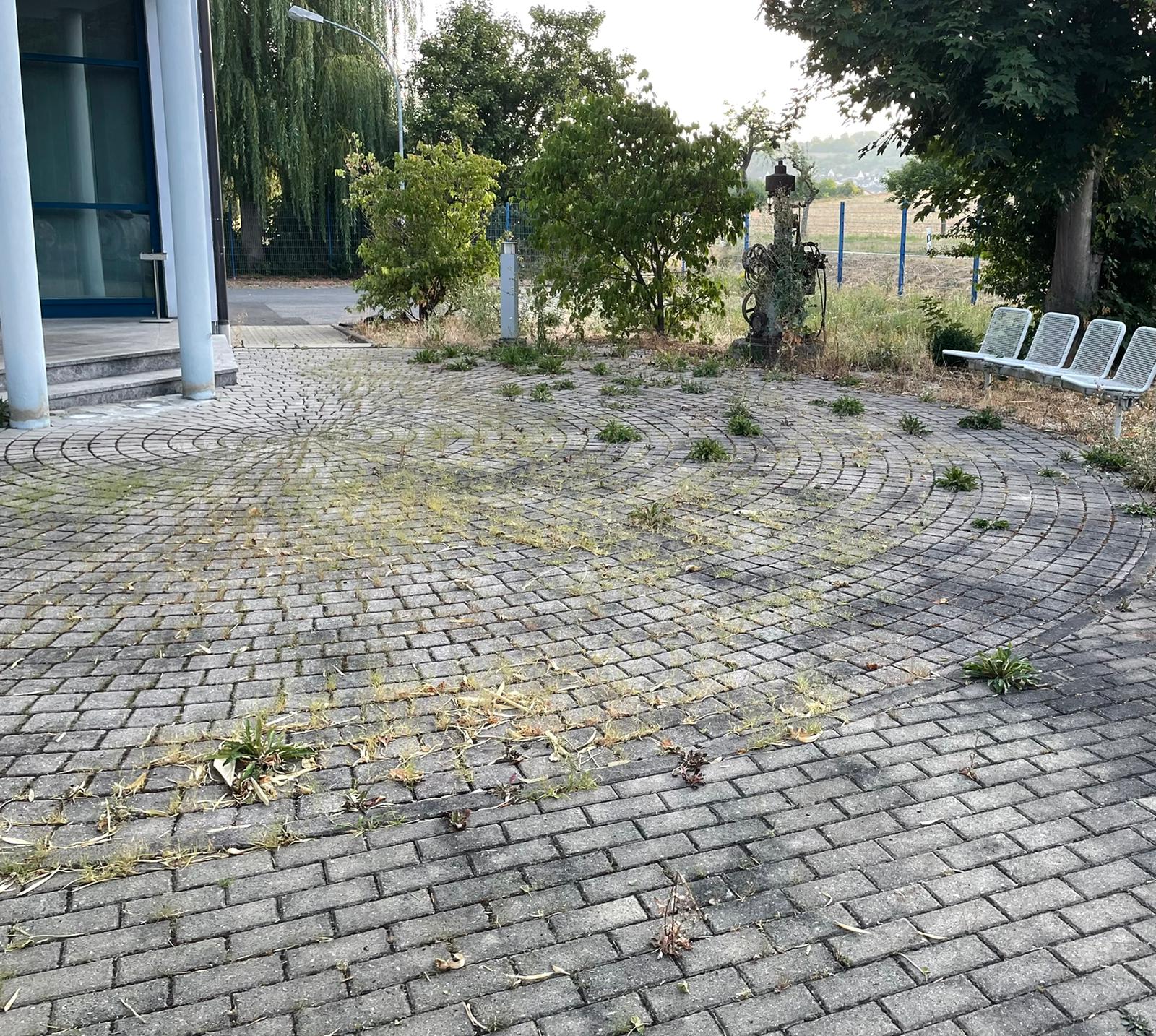 Wege Reinigung Vorher
